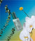 The Make My Day Cream Refill