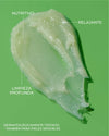 Yepoda.es