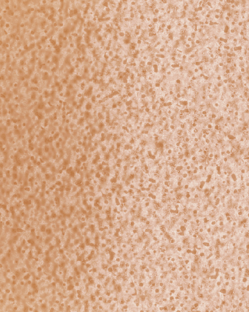 The Dewy Day Recarga